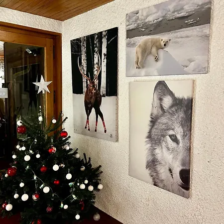 Bel'alpe Hotel