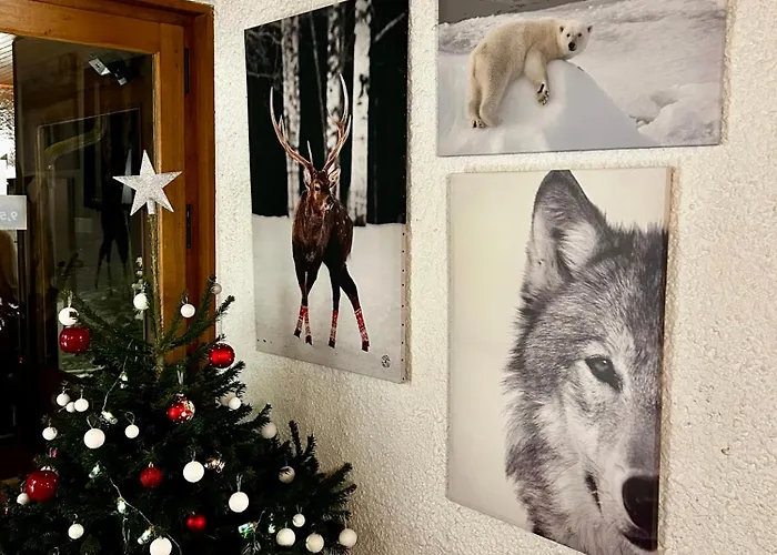 Bel'alpe Hotel